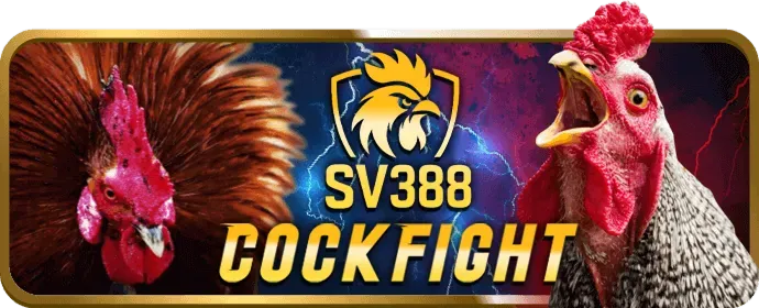 Hỗ trợ khách hàng 24/7 của 7777vin